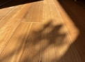 床「ブラックチェリー」