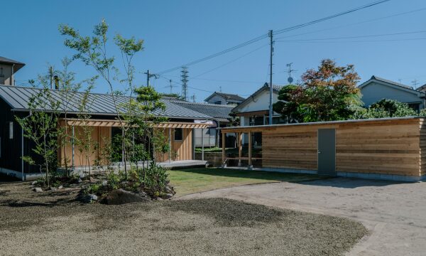 草衣