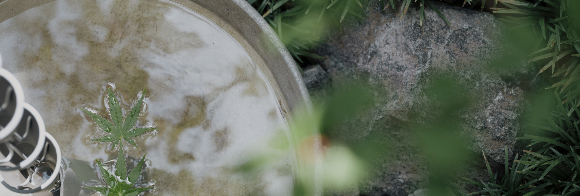 コンセプト イメージ写真