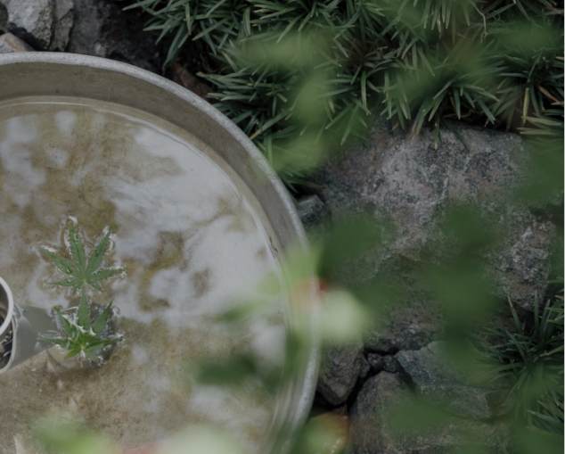 コンセプト イメージ写真