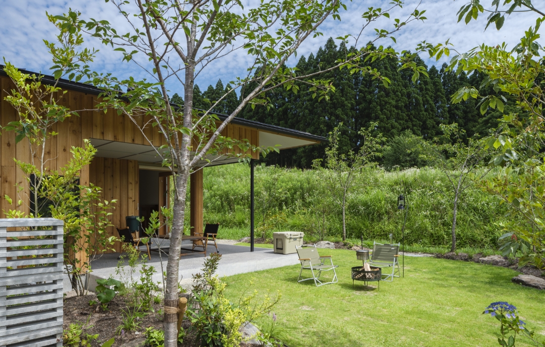 シロアリ防除 イメージ写真