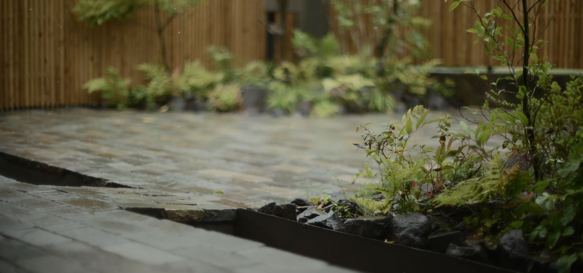 石畳の小道が手前に続き、奥には緑の植物が広がる、穏やかな和風庭園の光景