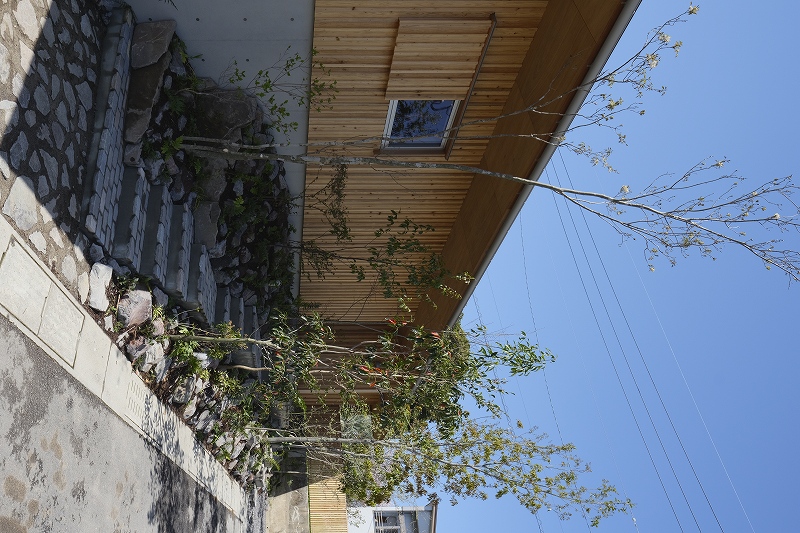 【VF専用】新ショーホーム先行公開「∴然／吉野」